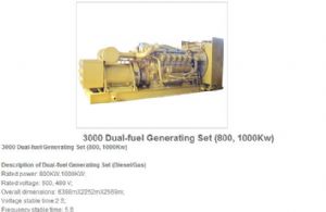 3000 dual-fuel generating sets 800，1000kw